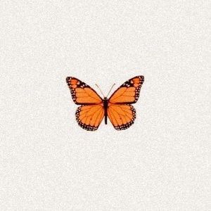 Meet your Posher, Ada